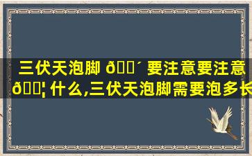 三伏天泡脚 🌴 要注意要注意 🐦 什么,三伏天泡脚需要泡多长时间